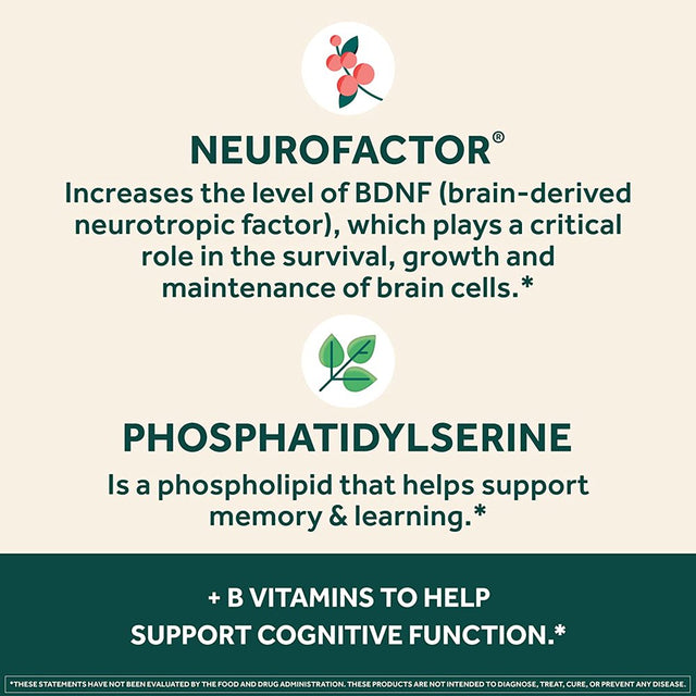 Plus Brain Supplement for Memory and Focus Clinically Tested Nootropics for Concentration for Mental Clarity, Cognitive Enhancement Vitamins B6, B12, Phosphatidylserine 30 Capsules