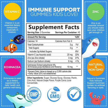 Kids Immune Support Gummies with Vitamin C, Zinc & Echinacea, Gluten Free & Non-Gmo Chewable Immune Support for Kids Gummy, Daily Childrens Immune Support Vitamins, Vegan, Berry Flavor - 90 Gummies