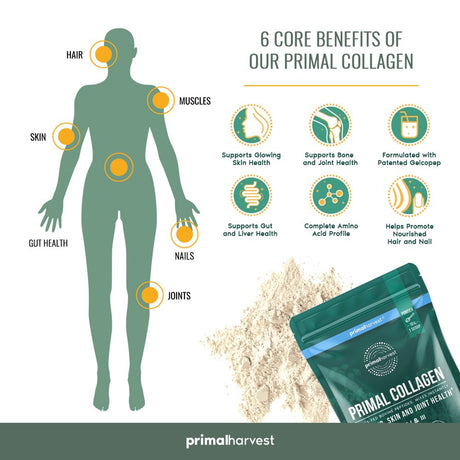 Collagen Powder Supplement by Primal Harvest - 30 Servings