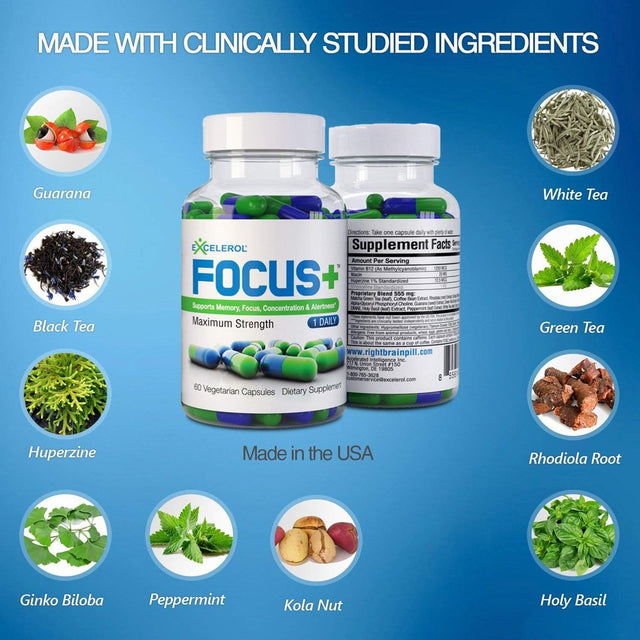 Excelerol Focus plus Brain Supplement Capsules, 60 Count