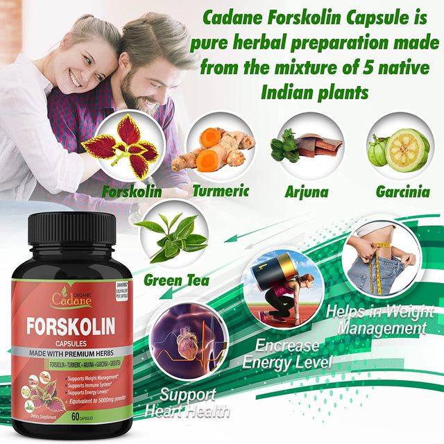 2 Packs Organic Forskolin Supplements Capsules 5000Mg with Turmeric, Arjuna, Garcinia Cambogia, Green Tea - Maximum Strength Coleus Forskohlii Extract - Support Energy Production & Immune System