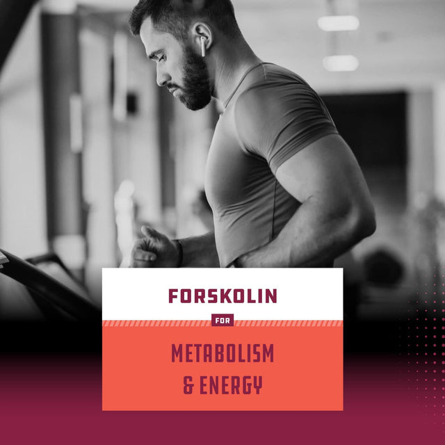 Max Strength Forskolin Weight Loss Supplement for Men and Women - Fast Acting Diet Pills Natural Appetite Suppressant Potent Fat Burner Builds Muscle Boosts Energy 60 Veggie Capsules