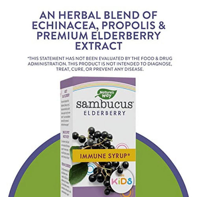 Natureâ€™S Way Sambucus Elderberry Immune Syrup for Kids*, Immune Support*, with Elderberry Extract, Echinacea & Propolis, Berry Flavor, 8 Fl Oz.