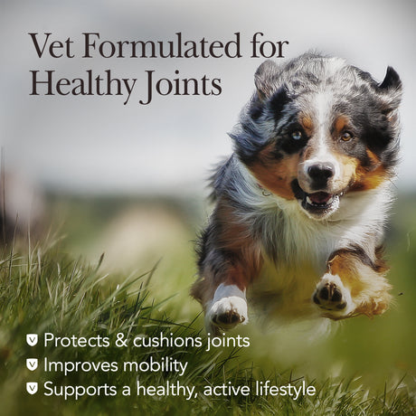 Nutri-Vet Hip and Joint Chewables for Dogs, Regular Strength, 120 Count