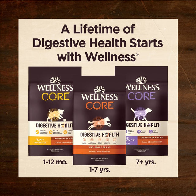 Wellness CORE Digestive Health Dry Puppy Food with Grains, 4 Pound Bag, Chicken Dog Food, Sensitive Stomach