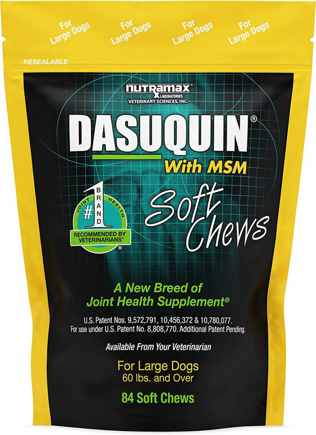 Dasuquin MSM Soft Chews for Large Dogs 84Ct