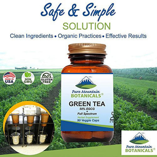 Green Tea Capsules - 90 Kosher Vegan Caps with 450Mg Organic Full Spectrum and Pure Green Tea Extract