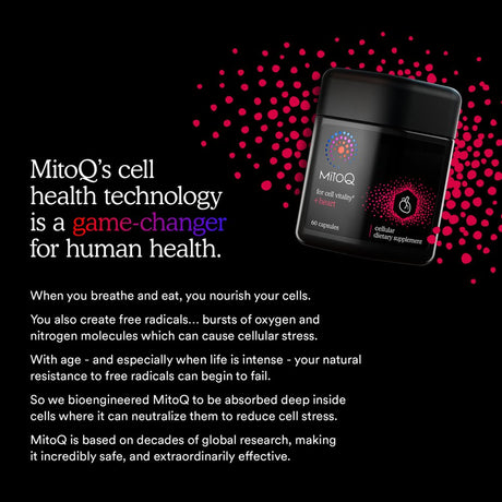 Mitoq +Heart - Advanced Coq10 Antioxidant Mitoq with Magnesium, L-Carnitine & Vitamin D3 – Supports Circulatory Health, Healthy Blood Circulation & Cell Vitality (60 Capsules)