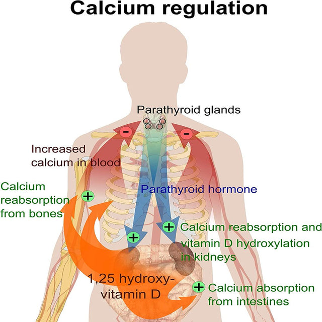 Sigmaceutical Bone Strength Calcium Supplement - Bone Health Boron Supplement - Calcium with Vitamin D3 - Calcium Magnesium Zinc - 90 Tablets