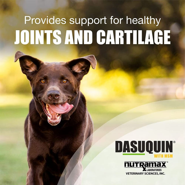 Dasuquin MSM Chewable Tablets for Large Dogs 84Ct