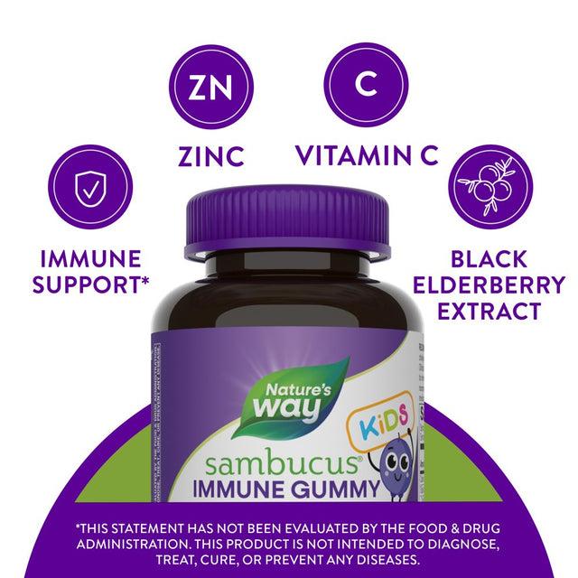 Nature’S Way Sambucus Immune Gummies for Kids, with Elderberry, Vitamin C and Zinc, Unisex, 60 Ct