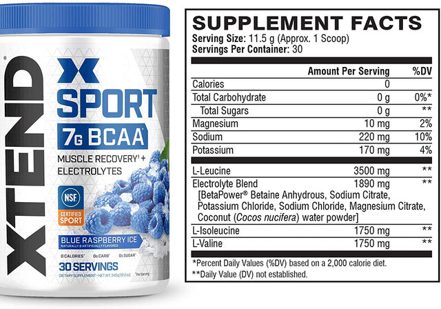 XTEND Sport BCAA Powder Blue Raspberry Ice - Electrolyte Powder for Recovery & Hydration with Amino Acids - 30 Servings