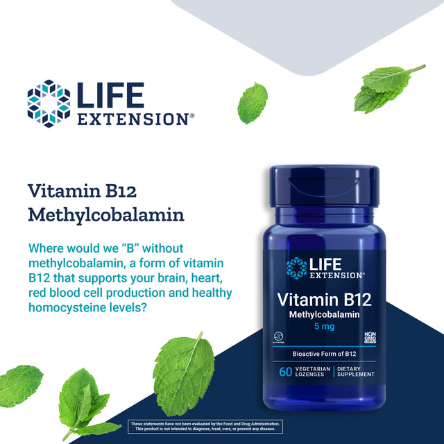 Life Extension Vitamin B12 Methylcobalamin, 5 Mg - Dissolvable Vitamin B Supplement for Nerve, Brain Health & Energy - Gluten-Free, Non-Gmo - 60 Vegetarian Lozenges