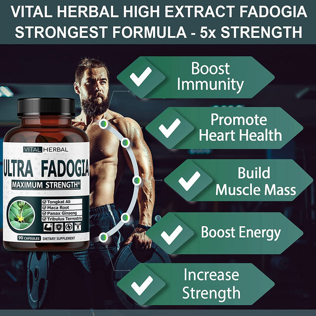 Ultra Fadogia Agrestis 10:1 Extract with Tongkat Ali Capsules - Equivalent to 9570 Mg - Maximum Strength with Ginseng Maca Root Tribulus - Boost Energy Muscle Buider (90 Count (Pack of 1))