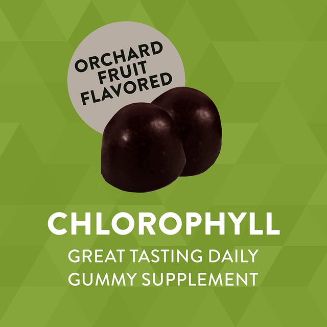 Nature'S Way Chlorophyll Gummies Healthy Skin and Body Detox 100 Mg 60 Gummies