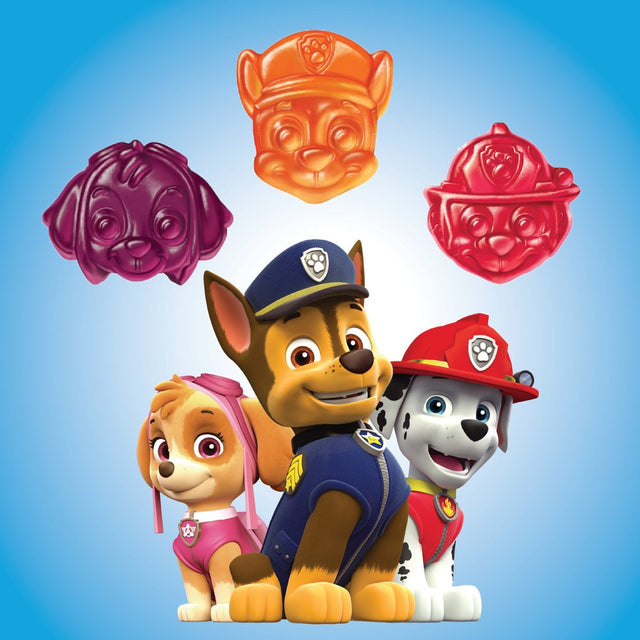 L’Il Critters Paw Patrol Gummy Vites Daily Gummy Multivitamin for Kids, Vitamin C, D3 for Immune Support Cherry, Orange and Blueberry Flavors, 60 Gummies