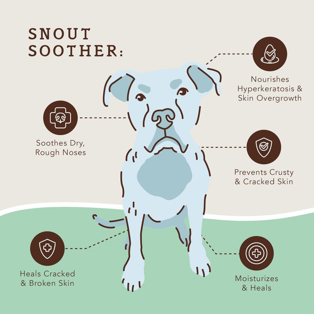 Natural Dog Company Snout Soother (2Oz Tin) Dog Nose Balm | Protects and Heals Chapped, Rough, Crusty, and Dry Noses | Vegan and Organic Skin Soother for All Dog Breeds and Sizes