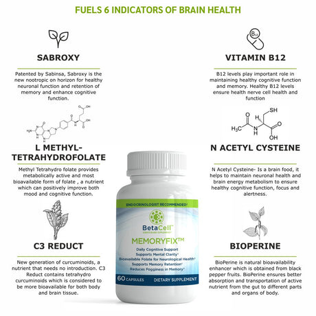 Memoryfix Brain Supplement - Sarboxy Nootropics Brain Support Supplement - 60 Brain Booster Focus Supplement Capsules - Focus, Memory Boost, No Brain Fog, Brain Health - N Acetyl Cysteine, C3 Reduct