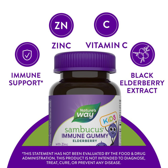 Nature'S Way Sambucus Immune Gummies for Kids, with Elderberry Extract, Vitamin C and Zinc, 40 Ct