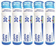 Boiron Lobelia Inflata 30C (Pack of 5), Homeopathic Medicine for Quitting Smoking