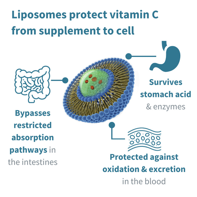 Igennus Liposomal Vitamin C 1000Mg & Zinc, High Absorption Liquid Immune Support, Adults & Kids Supplement, 30 Adult Servings