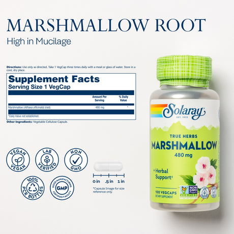 Solaray Marshmallow Root, Healthy Respiratory Function & Digestion Support, Non-Gmo & Vegan | 100 Vegcaps