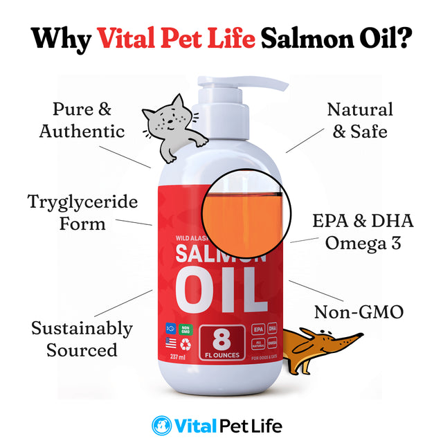 Vital Pet Life Salmon Oil for Dogs and Cats, Wild Alaskan Supports Healthy Skin Coat and Joints, Natural Allergy and Inflammation Defense, 8 Oz.