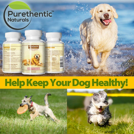 Omega 3 for Dogs, Fish Oil for Dogs 180 Softgels Featuring Pure & Natural Fatty Acids. (High Levels of EPA and DHA) (Helps Dog Allergies & Brain Function) Made in USA (1 Pk)