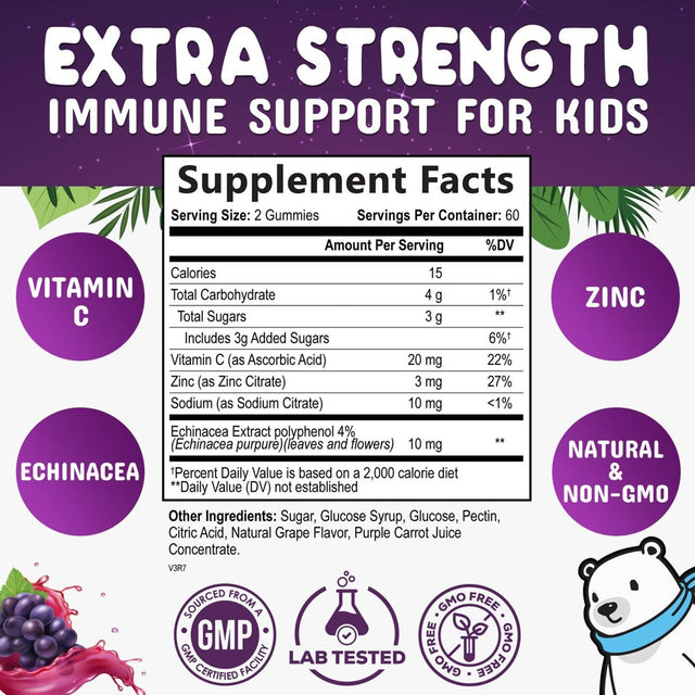 Kids Immune Support Gummies with Vitamin C, Zinc & Echinacea, Daily Childrens Immune Support Vitamin, Gluten Free & Non-Gmo Chewable Immune Support for Kids Gummy, Berry Flavored - 120 Gummies