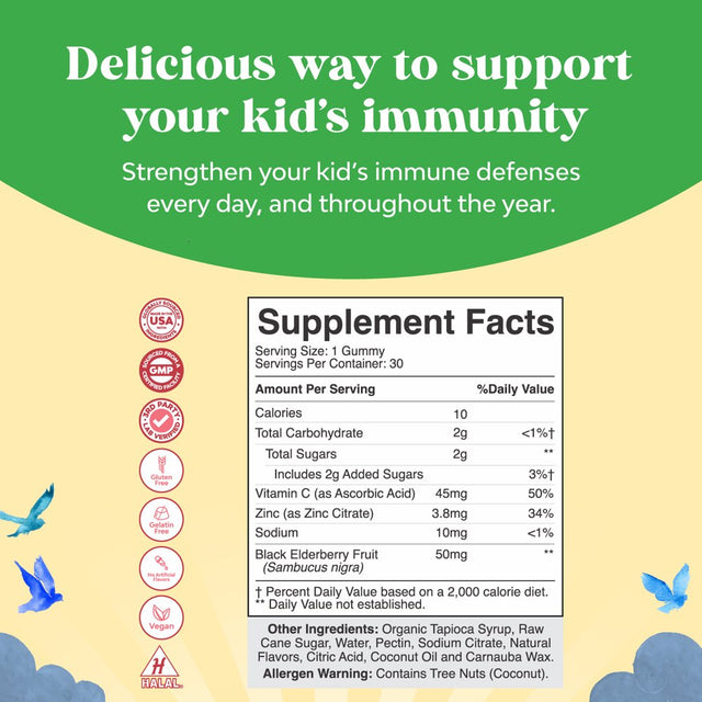 Kids Elderberry Gummies with Zinc and Vitamin C - Delicious Sambucus Black Elderberry Gummies for Kids Immune Support - Daily Kids Immunity Support Gummies Vegan Non-Gmo Gluten and Gelatin Free