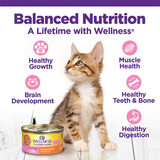 Wellness Complete Health Kitten Canned Wet Cat Food, Chicken Pate, 3 Ounces (Pack of 24)