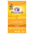 Wellness Complete Health Natural Dry Puppy Food, Chicken, Salmon & Oatmeal, 30-Pound Bag