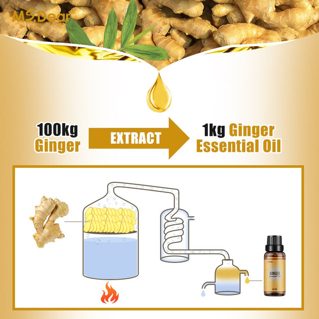 Ginger Essential Oil for Lymphatic Drainage Massage, Weight Loss and Swelling Pain, Pure Natural Belly Drainage Ginger Oil anti Cellulite Massage Ginger Oil, 30Ml