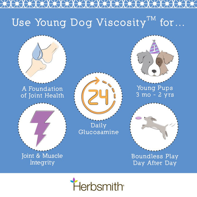 Herbsmith Young Dog Viscosity – 4-In-1 Natural Joint Support for Dogs – Dog Joint Care Chews with Glucosamine, Hyaluronic Acid, Chondroitin, & MSM - Dog Vitamins for Hip and Joint - 60Ct Small Chews