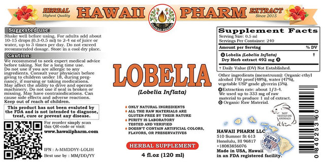 Lobelia (Lobelia Inflata) Tincture, Organic Dried Herb Liquid Extract, Wild Tobacco, Herbal Supplement 4 Oz