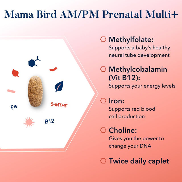 Mama Bird Prenatal AM/PM Multi+ Vitamins, Methylfolate, Organic, Vegan, Best Nest Wellness, 60 Ct