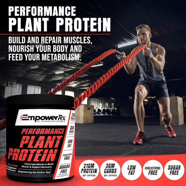 Empower Rx Performance Vegan Protein Powder Gluten Free Vanilla Plant Based Natural Protein - Non GMO for Building Muscles and Support Recovery (454G)