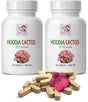 Hoodia Gordonii Appetite Suppressant - HOODIA CACTUS 20:1 EXTRACT - Fat Burner Supplement - Energy Booster Pills - Hoodia Gordonii Extract - Hoodia Supplement - Hoodia Gordonii Pills - 2B 120 Tablets