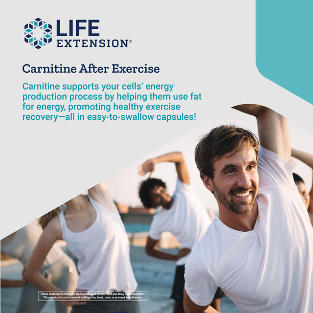 Life Extension Optimized Carnitine – L-Carnitine Supplement - Supports Heart, Brain Health& Exercise Recovery – Gluten-Free – Non-Gmo – 60 Capsules