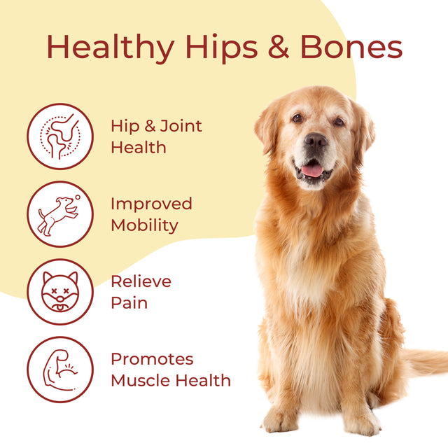 Boops Hip + Joint Health, Functional Dog Treats, Hip & Joint Supplement, Chicken & Sweet Potato Recipe, 10Oz