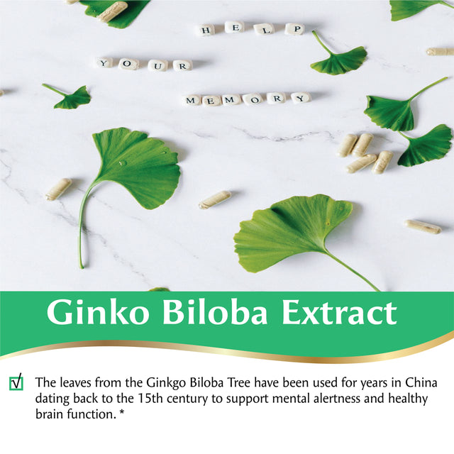 Ginkgo Biloba Extract 120 Mg Memory Support by Pacific Nature’S for Mental Alertness and Healthy Brain Function* 240Ct