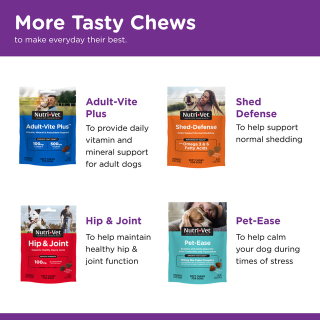 Nutri-Vet Pre and Probiotic Soft Chews for Dogs - 120 Soft Chews