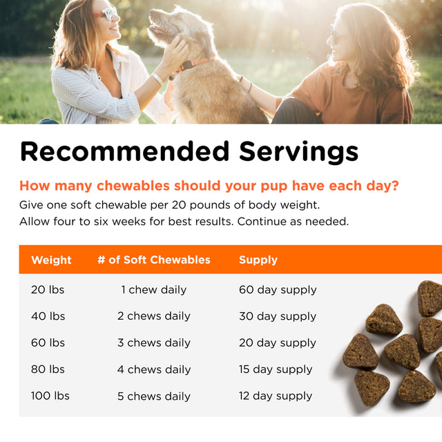 Nutri-Vet Shed Defense Soft Chews for Dogs | Supports Normal Shedding and Healthy Coat | 60 Soft Chews