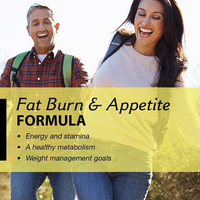 Natural Balance Super Fit Burners | Fat Burner & Appetite Supplement & Plan | Healthy Weight Formula W/ Garcinia & Grapefruit | 60 Vegcaps, 15 Serv.