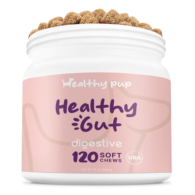 Healthy Pup Premium Dog Probiotics and Digestive Enzymes Dog Supplements, 120 Delicious Chew Treats