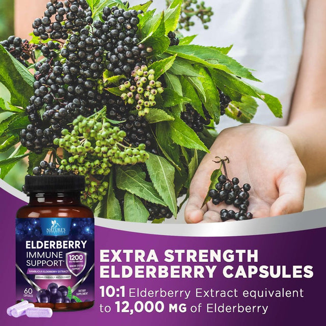 Nature'S Nutrition 10:1 Elderberry Extract Capsules - Highly Concentrated Sambucus Black Elderberry, Immune Support Dietary Supplement, Elder Berry Vitamins, Gluten Free Non-Gmo - 60 Capsules