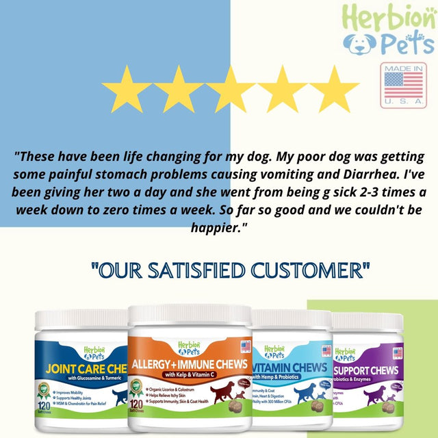 Herbion Pets Digestive Support Chews with Probiotics and Enzymes, 120 Soft Chews - with Daily Digestive Enzymes - for Improved Gut Health - Minimum 2 Billion Cfus - Made in USA - for Dogs 12 Weeks+