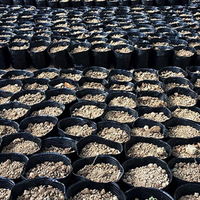 100Pcs Plant Nutrition Pots, Peat Pots for Seedlings, Biodegradable Seeds Starter Nursery Pots for Plant Vegetables or Herbs