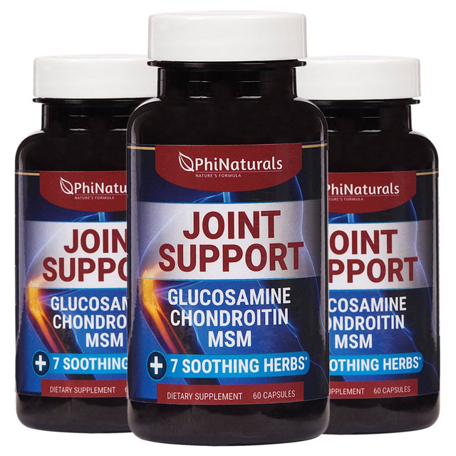 Glucosamine Chondroitin (Pack of 3) Capsules – MSM – Joint Supplements by Phi Naturals