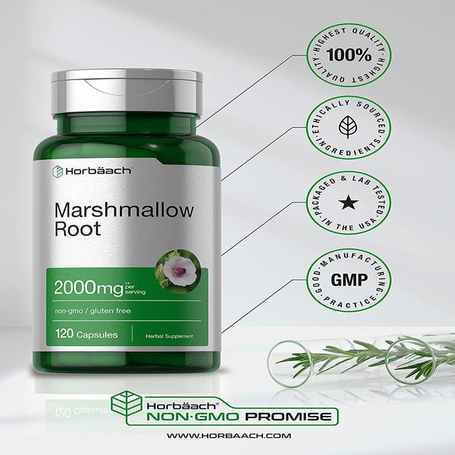 Marshmallow Root Capsules | 2000Mg | 120 Count | Non-Gmo & Gluten Free | Traditional Herb Extract | by Horbaach